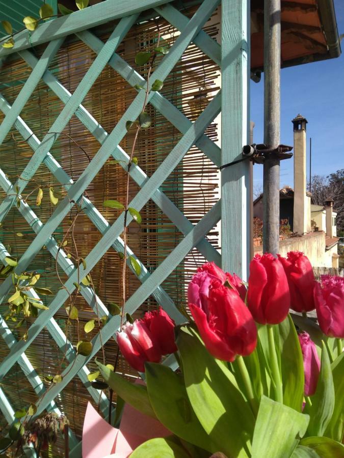 The Nest Apartment Grosseto Exterior photo
